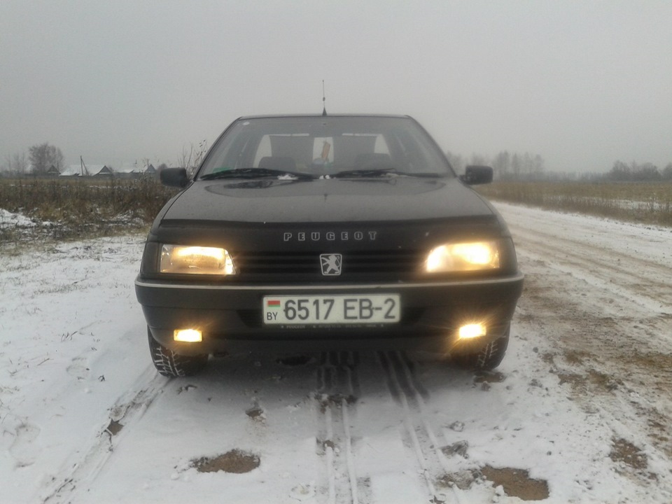 Мухобойник) — Peugeot 405, 1,6 л, 1990 года | аксессуары | DRIVE2