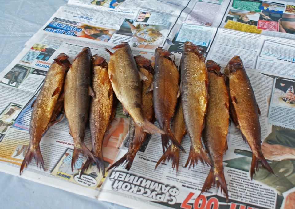 Фото в бортжурнале Toyota Caldina (241)