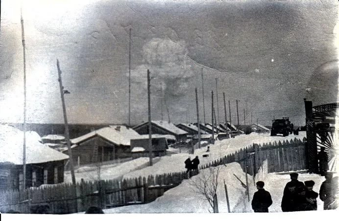 Купить Тайгу В Пермском Крае