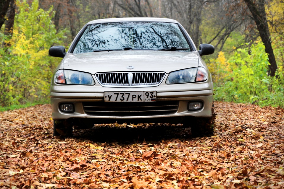 N sunny. Nissan Sunny n16. Ниссан Санни золотистый.