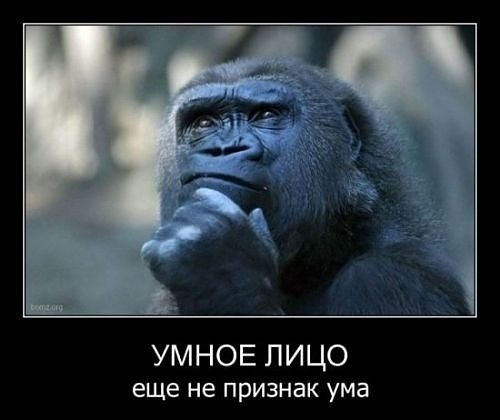Как выглядит умное лицо