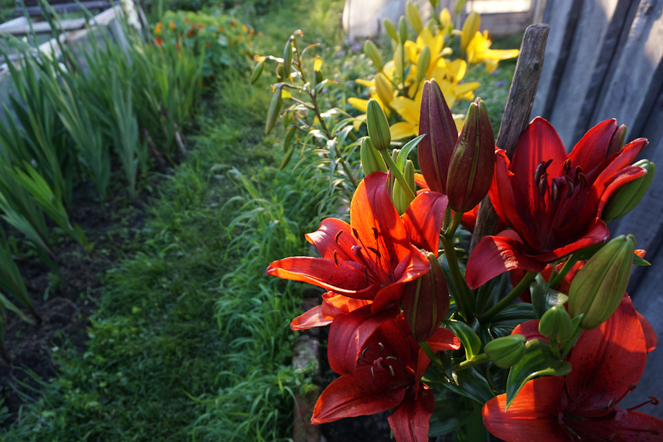 Фото в бортжурнале Nissan Murano II