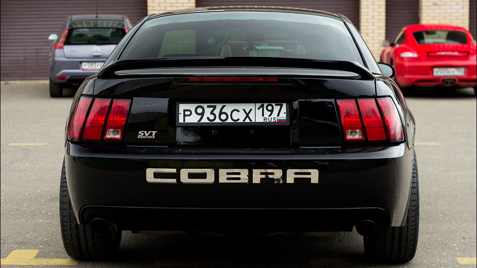 Ford Mustang Svt Cobra Terminator Drive2