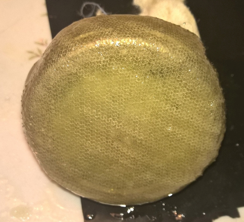 Фото в бортжурнале Subaru Legacy (BL/BP)