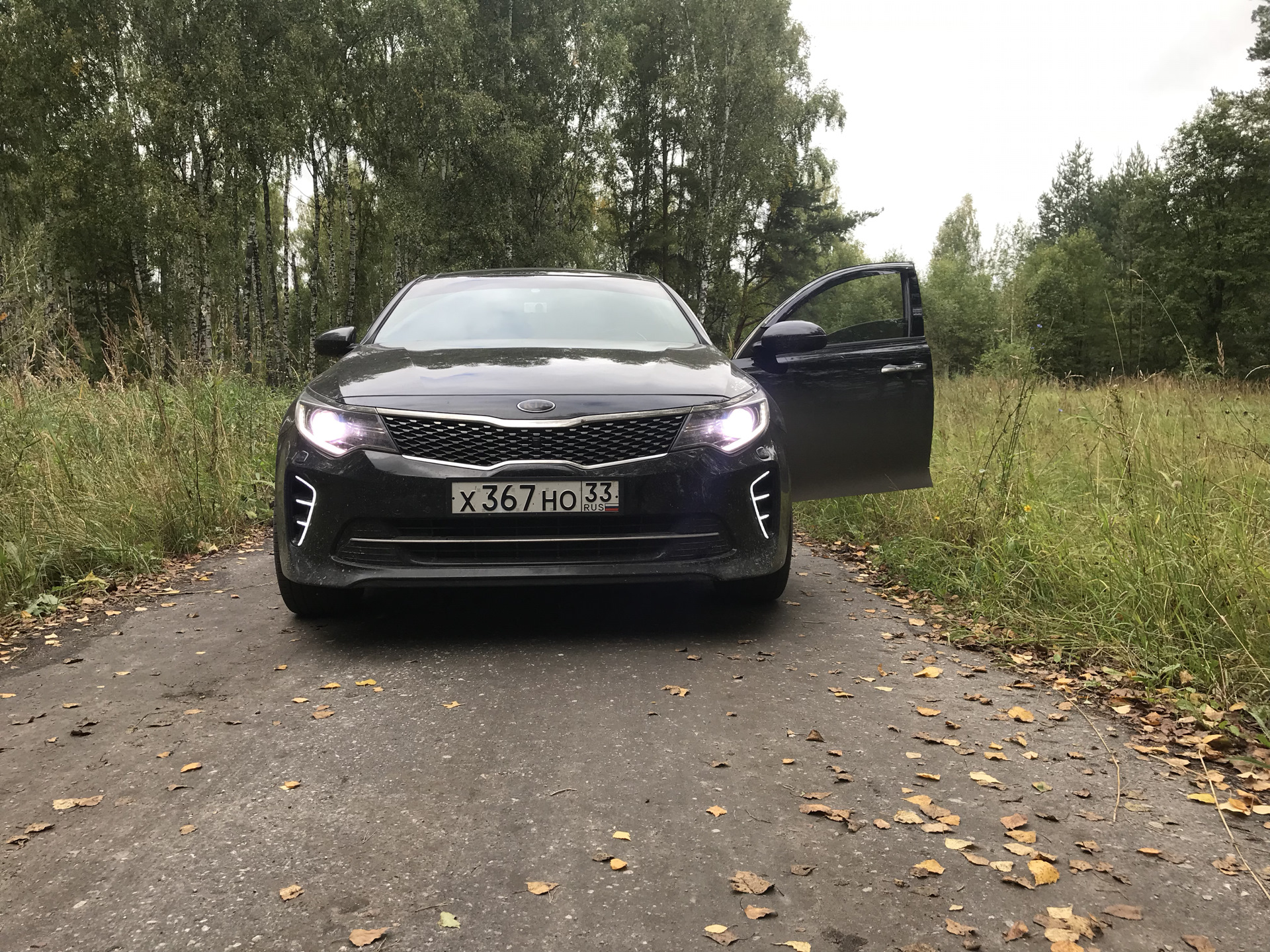 Масложор kia optima jf