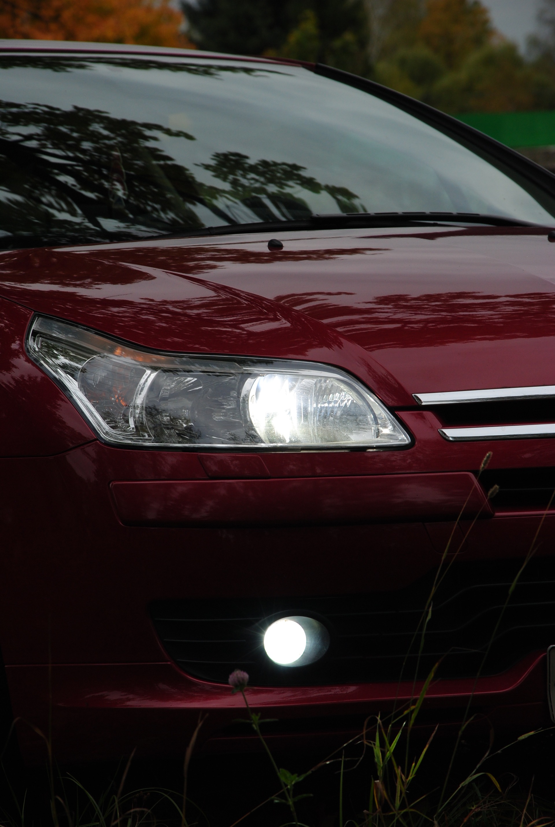 Порно модельки ls Осенний фотосет с Ситром =) — Citroen C4 (1G), 1,6 л, 2008 года |  фотография | DRIVE2