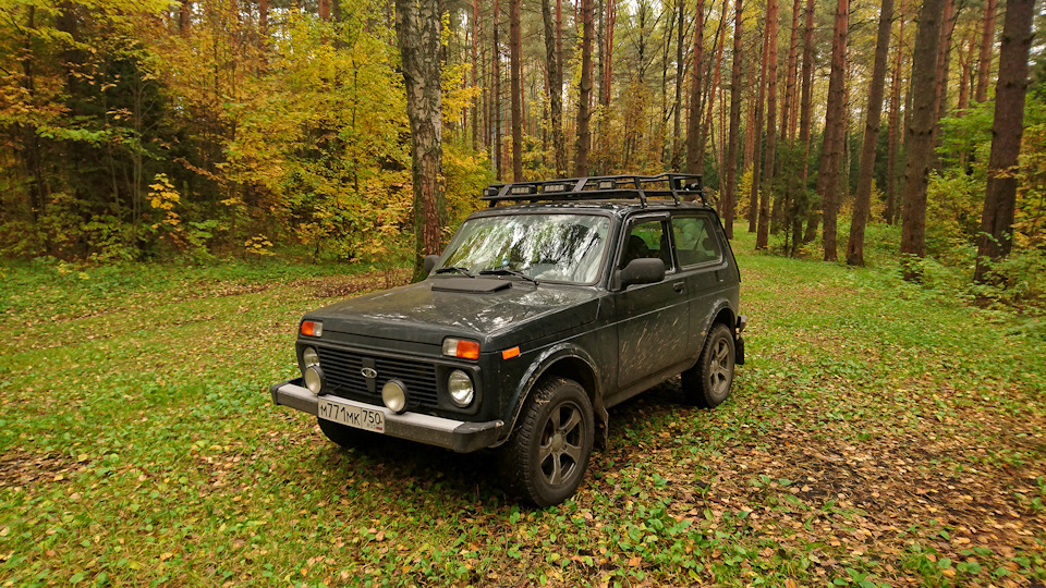 Правильная нива. Lada 4x4 Black Edition. Niva_288. Нива моя Нива Нива Золотая. Нива в лесу.