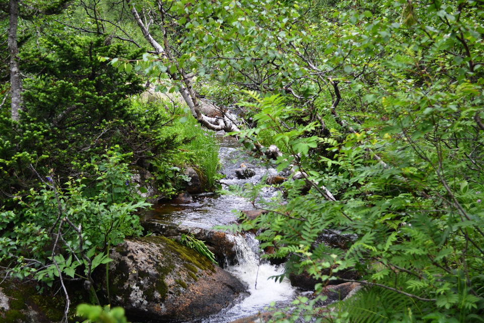 Фото в бортжурнале Mitsubishi Pajero Sport (2G)