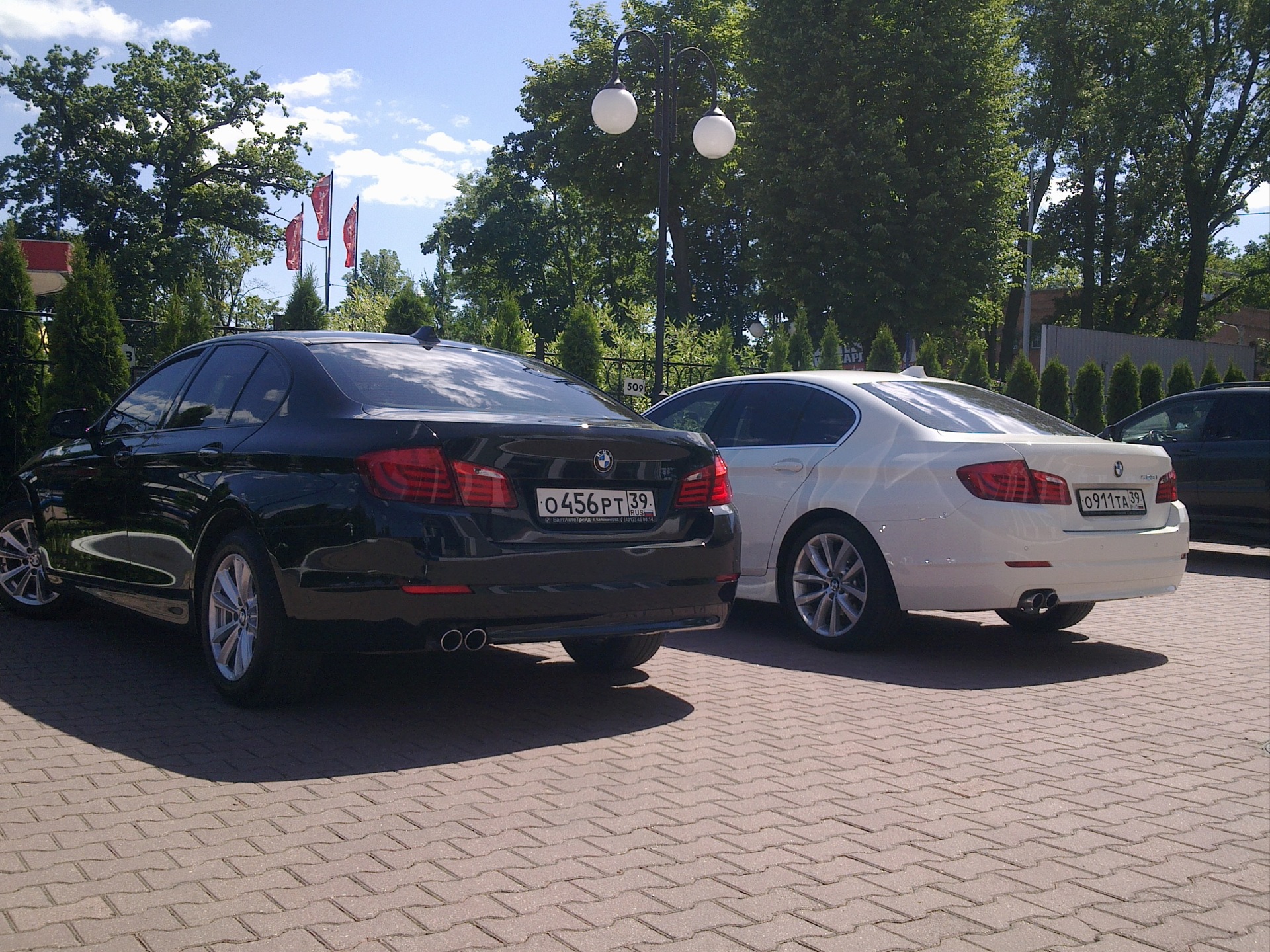 Черное или Белое? — BMW 5 series (F10), 2,5 л, 2010 года | наблюдение |  DRIVE2