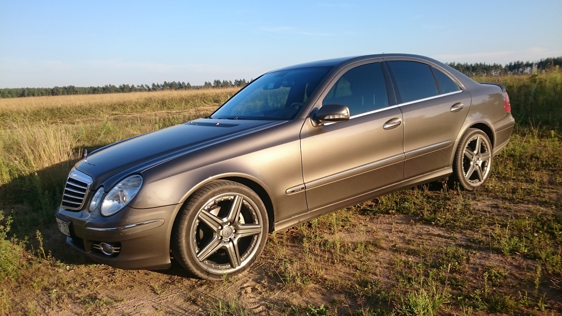 Mercedes w211 Gold Metallic