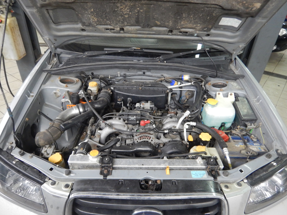 824c6des-960.jpg
