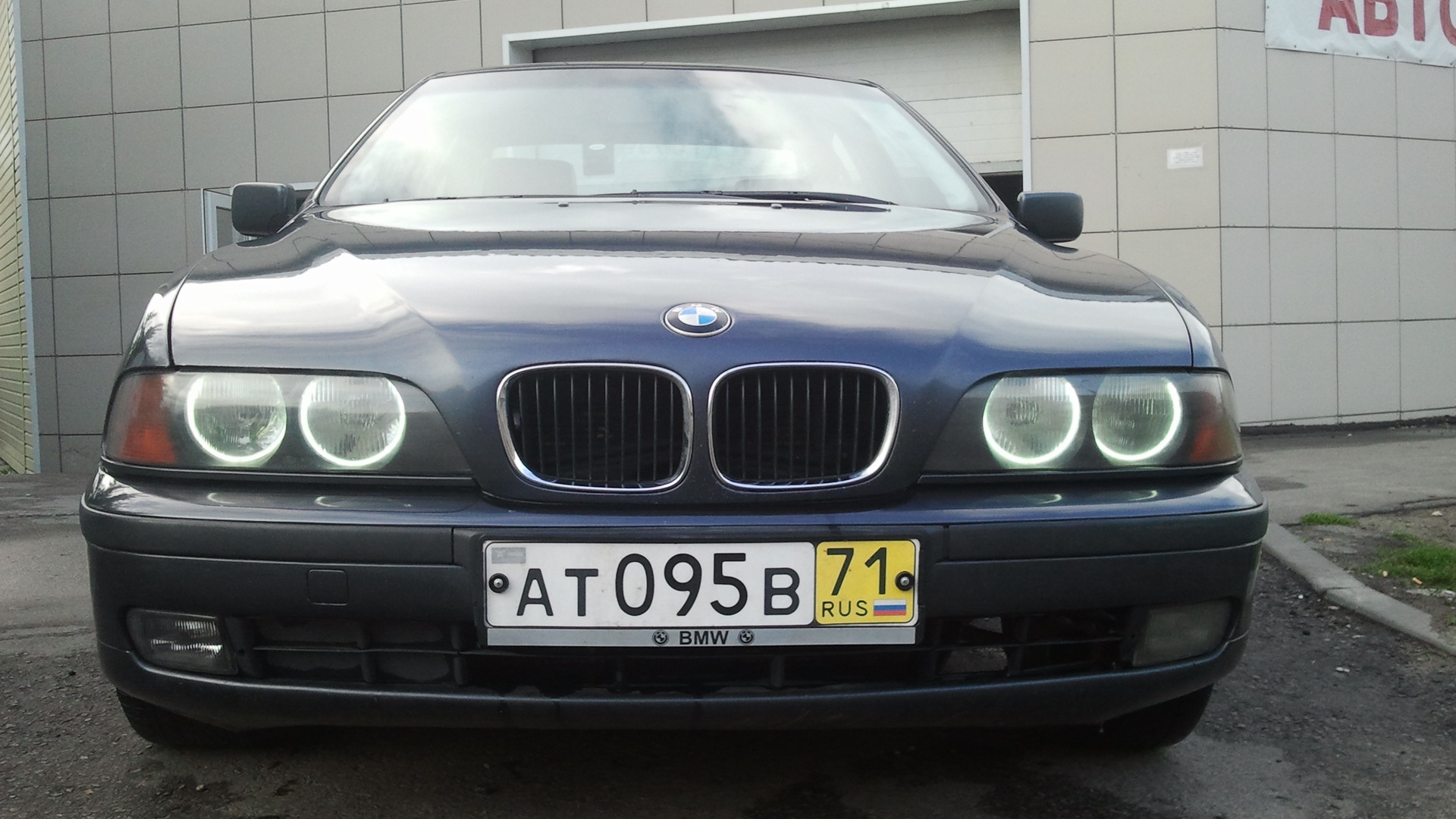 BMW 5 series (E39) 2.0 бензиновый 1997 | Вот она рыба моей мечты! на DRIVE2