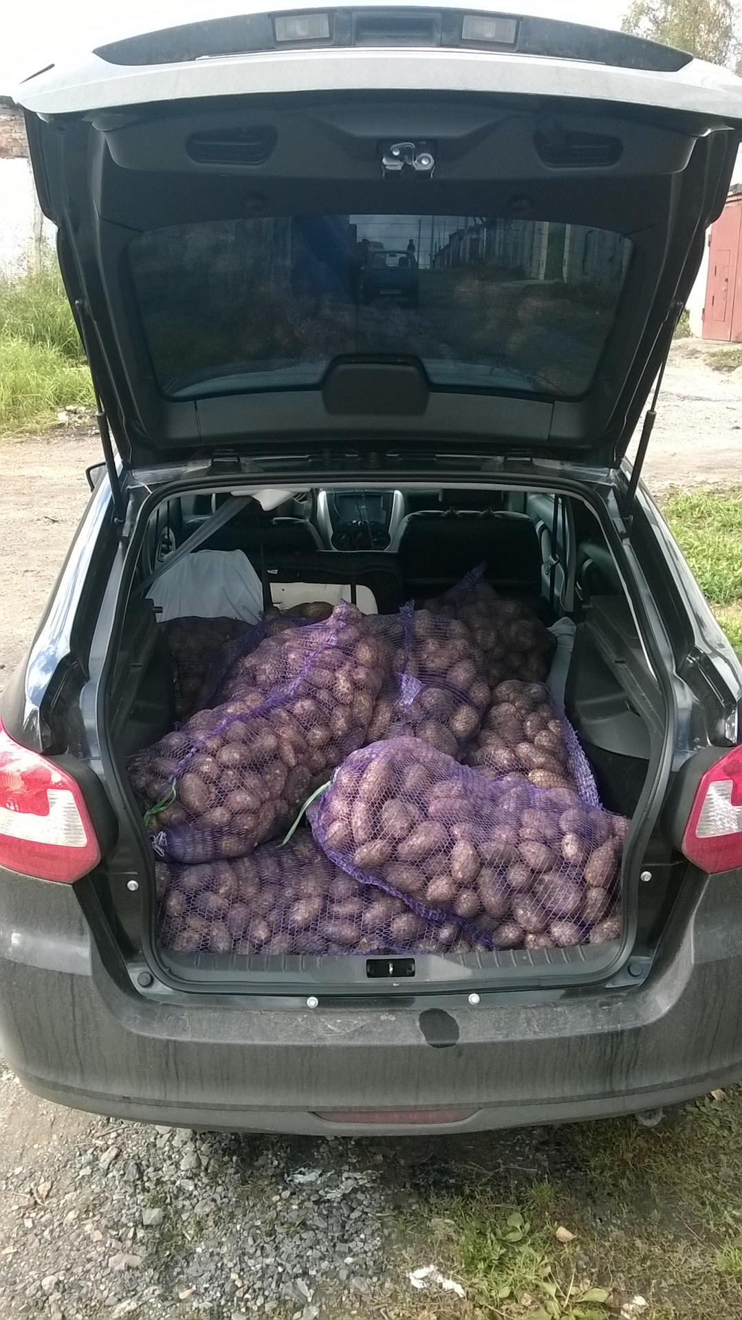 перевезти картошку с дачи. перевозка продуктов. перевозка картофеля. перевезти картошку с дачи. тундра возит картошку.