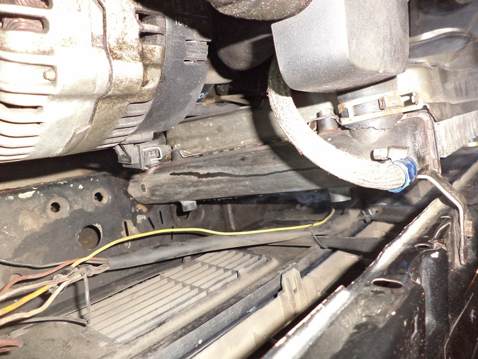 Ревность Кабрика к Кедику))) — Volkswagen Golf Cabriolet Mk1, 2 л, 1984 ...