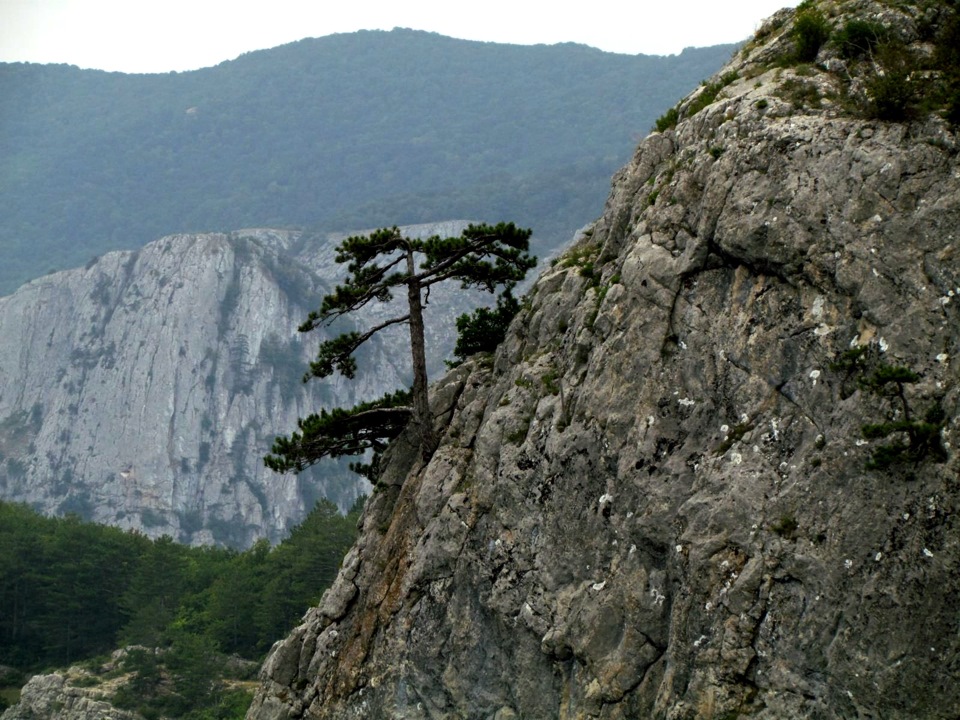 Село богатое крым фото