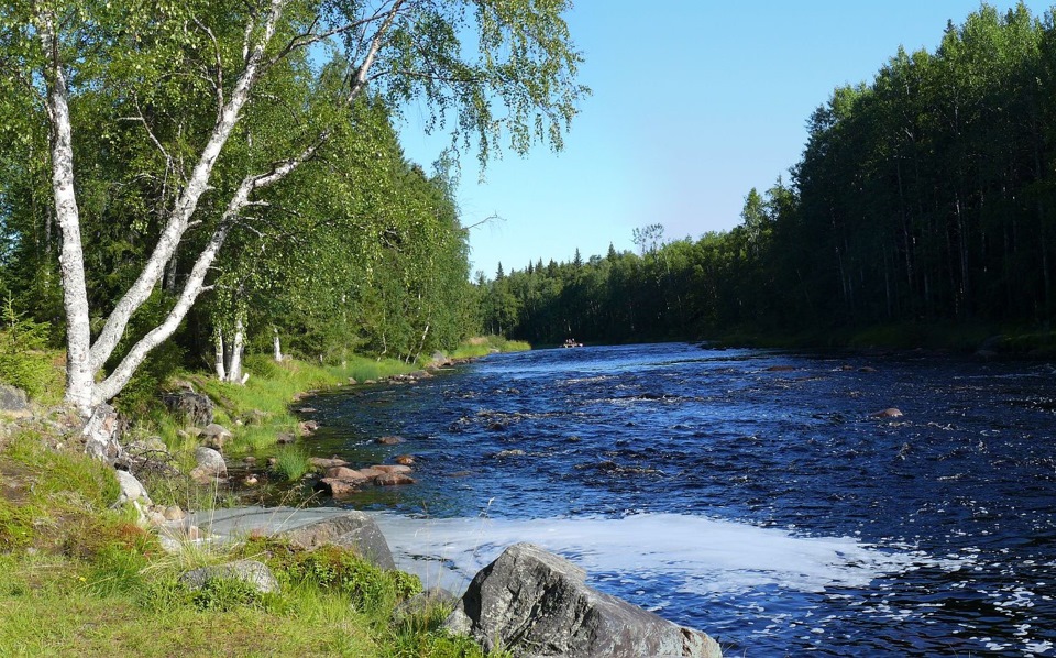 Вода карелия. Река семужья Приозерский район. Мацерные воды Карелия. Чистая Карелия. Поныне воды Карелия.