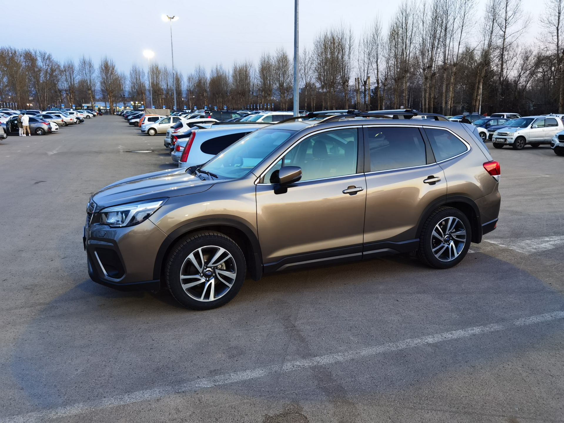 Forester sk5