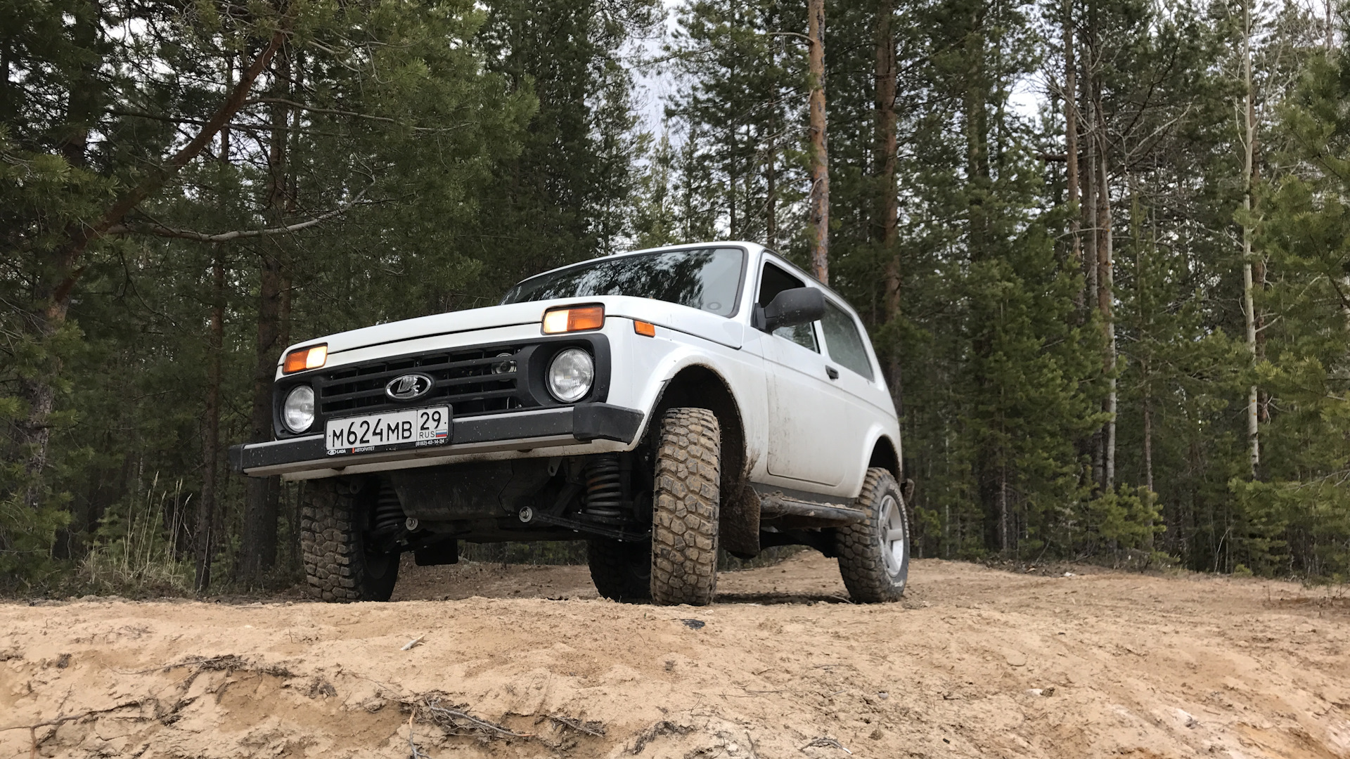 D quattro