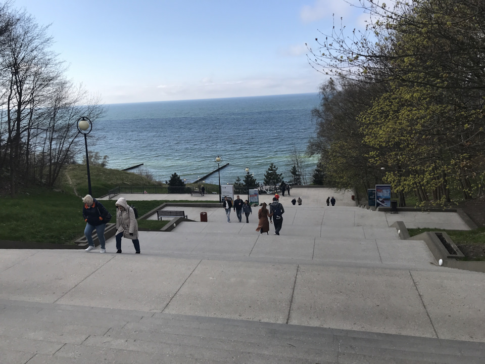 Неправильный сход-развал — Renault Duster (1G), 1,5 л., 2016 года ...