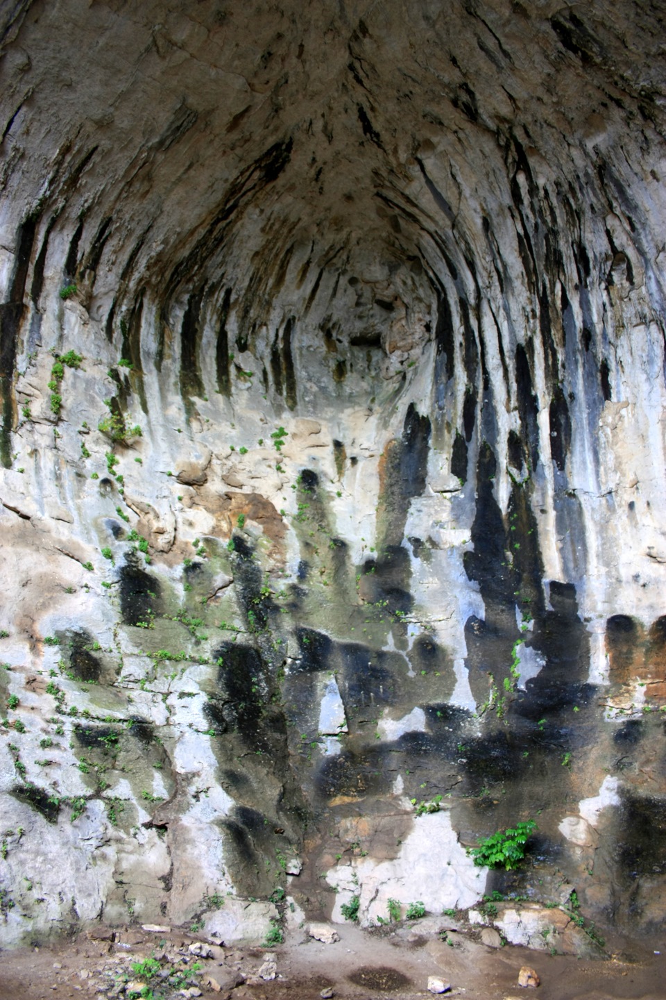 Пещеры в болгарии