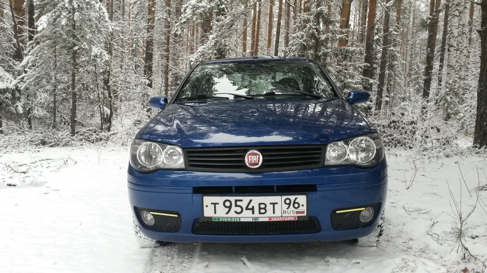 Fiat Albea drive2