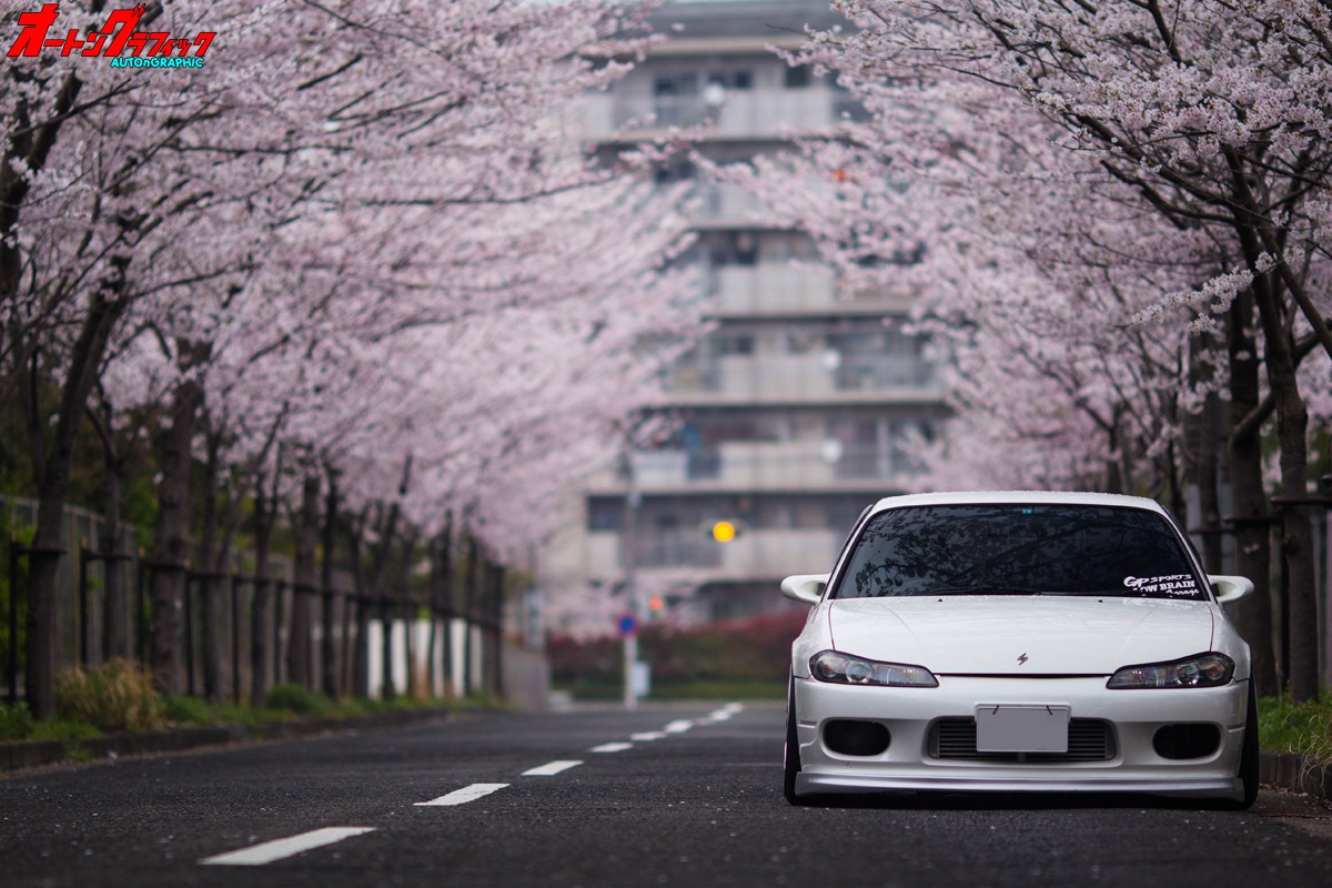 Toyota Mark 2 Sakura