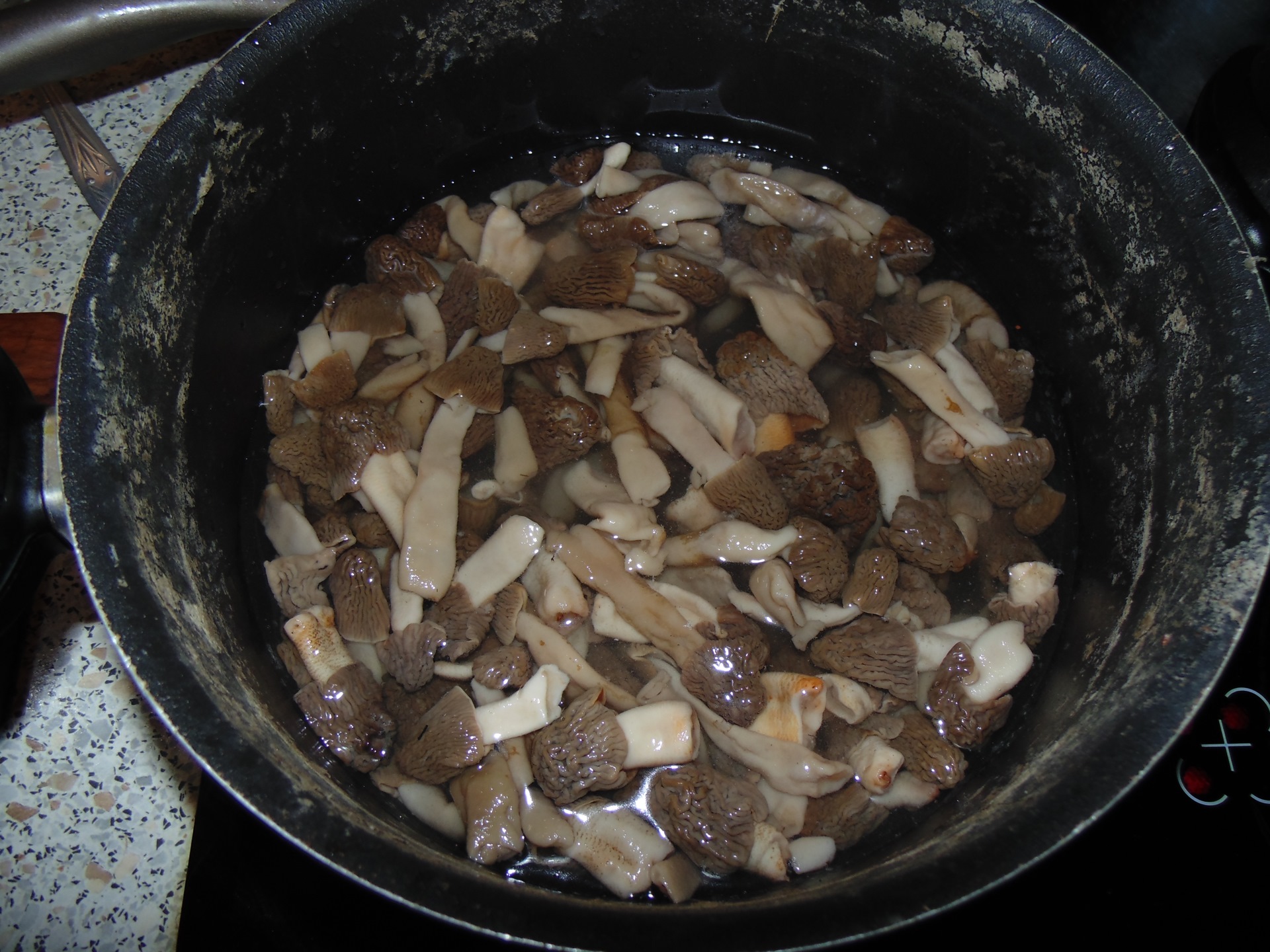 Готовим сморчки рецепты приготовления с фото пошагово
