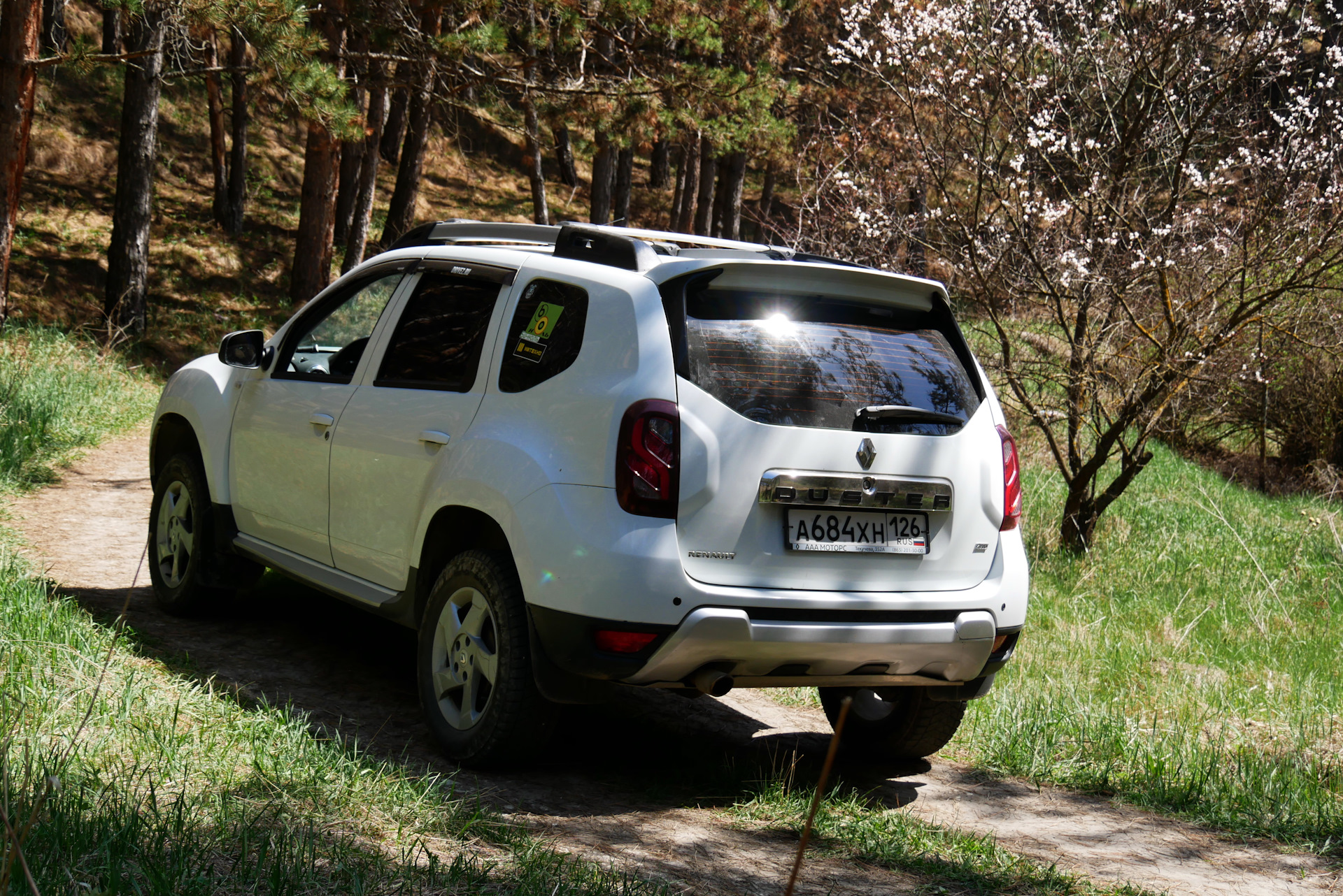 Renault duster плюсы и минусы