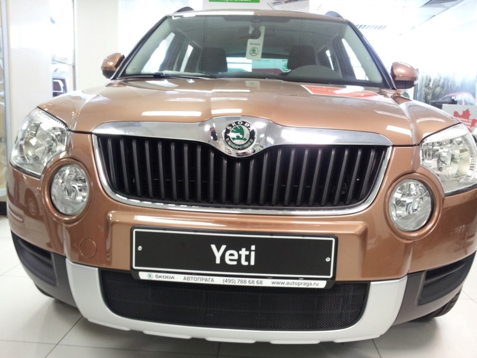 Защита радиатора на "SKODA YETI", до 2014 года — ЗАЩИТА АВТОМОБИЛЯ на ...