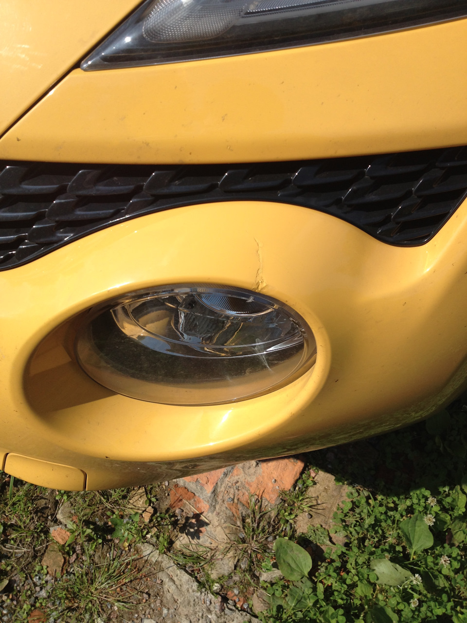 код краски nissan juke. 8353db6s 960. код краски nissan juke фото. код краски nissan juke-8353db6s 960. картинка код краски nissan juke. картинка 8353db6s 960. В таблице отображены известные нам цвета автомобиля Nissan Juke 2011 года. Если вы еще не знаете где находится табличка с кодом, посмотрите инструкцию как найти код краски Nissan.