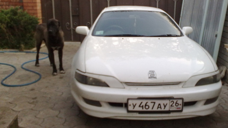 Toyota Curren 2.0 бензиновый 1994 на DRIVE2