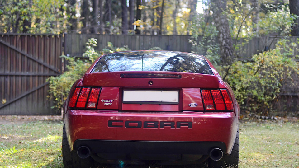 Ford Mustang Svt Cobra Terminator Drive2