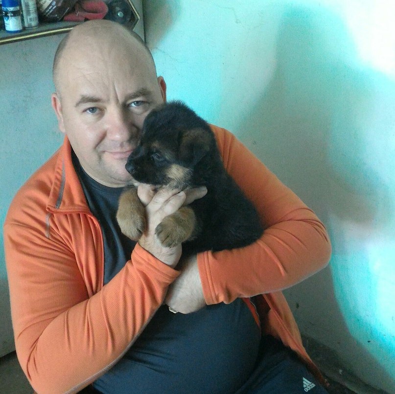 Сегодня мой Бортовк не а Ларгусе а его новом пассажире. — Lada Ларгус ...