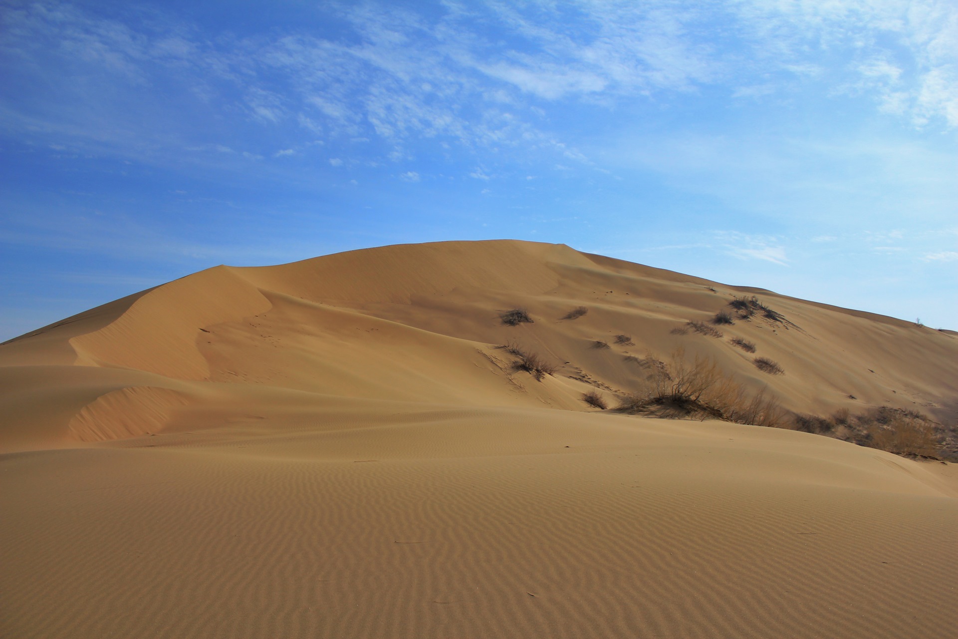 Барханы ханы. Монгольский Бархан. Поселок Утта Барханы. Гатчина песчаные Барханы. Поющие Барханы Калмыкия.