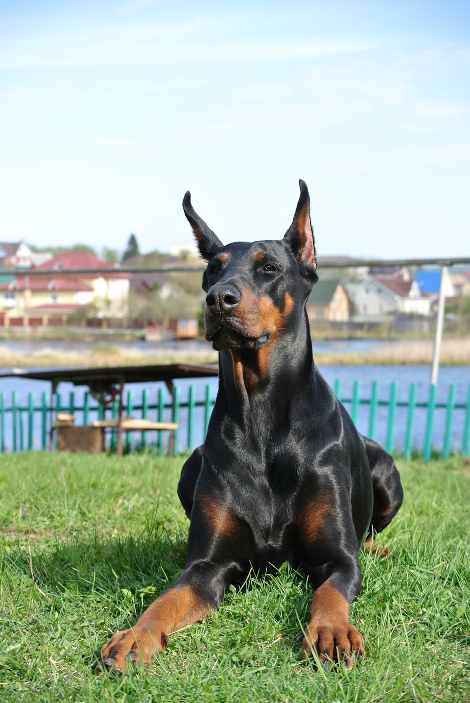 ой все! я обиделась… — Mercedes-Benz GLK-Class (X204)