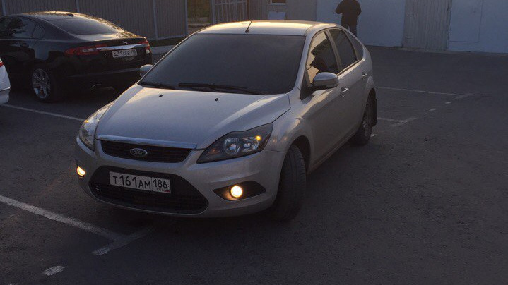 Formula F 5w30 есть ли аналоги ? — Ford Focus Hatchback II, 2 л, 2008 ...