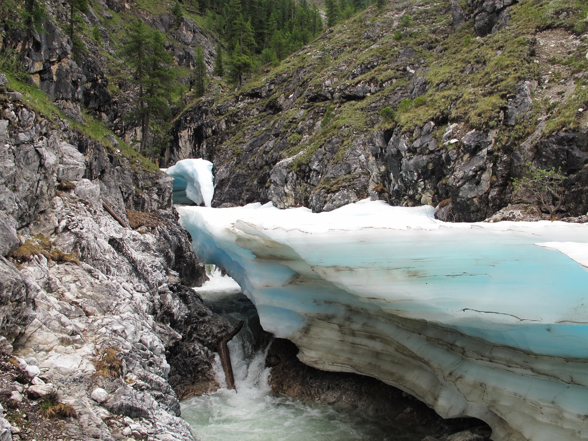 Шумак фото в хорошем качестве