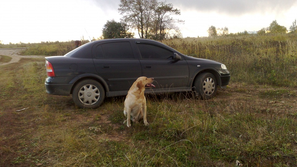 Поломка катушки зажигания — Opel Astra G, 1,8 л, 2003 года | своими ...