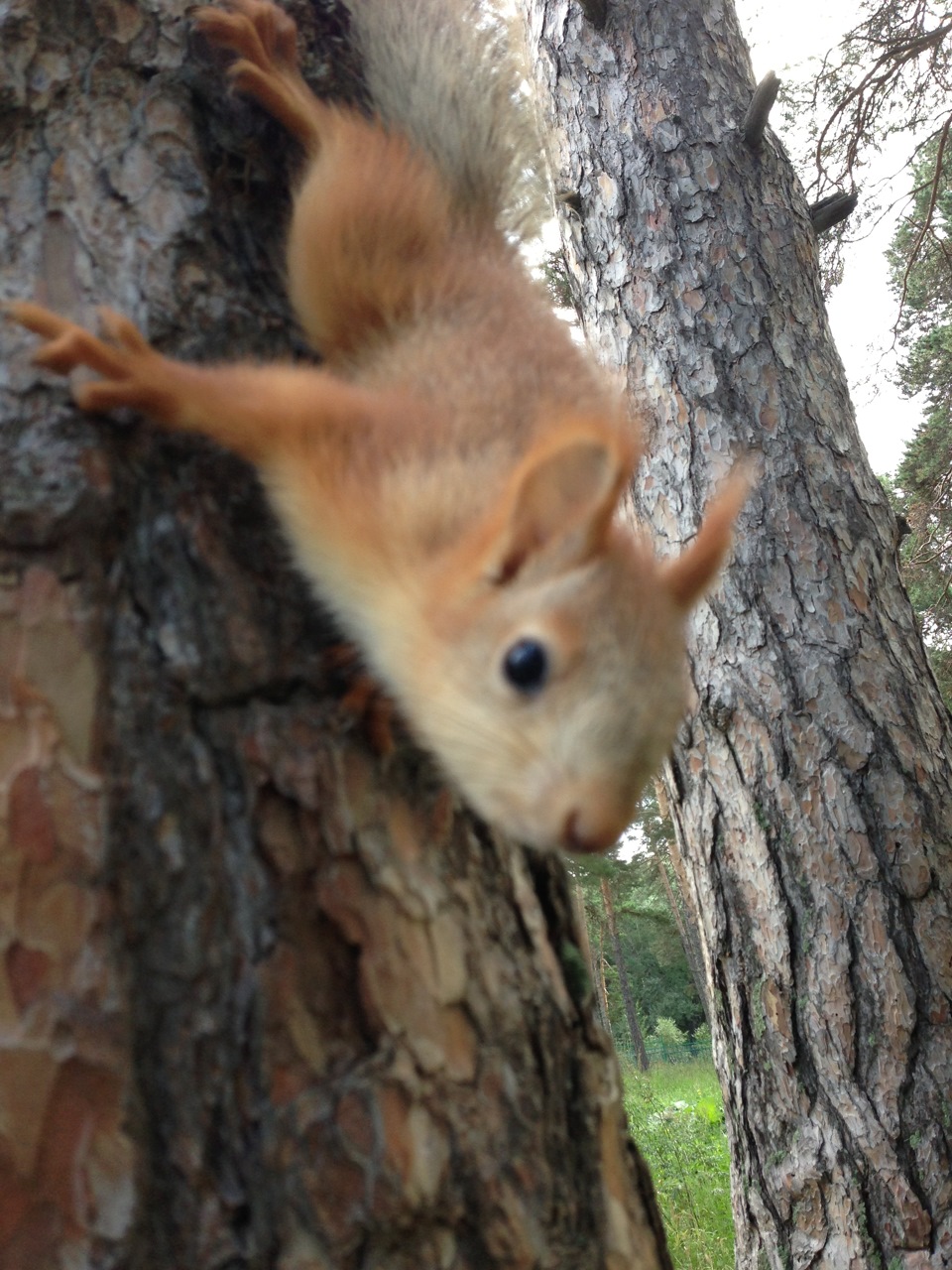 Путешествие в Казахстан на оз.Балхаш — Lada Приора хэтчбек, 1,8 л, 2012 ...