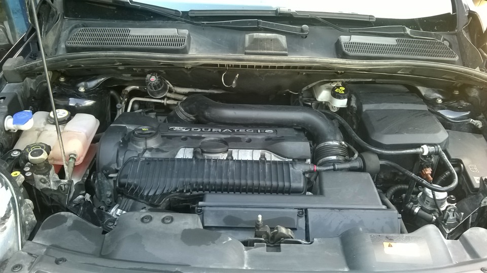 чистота)) — Ford Kuga (1G)