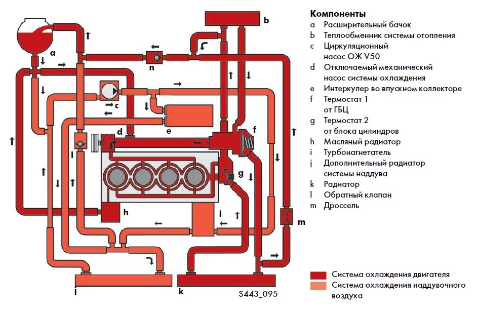 Схема циркуляции ож