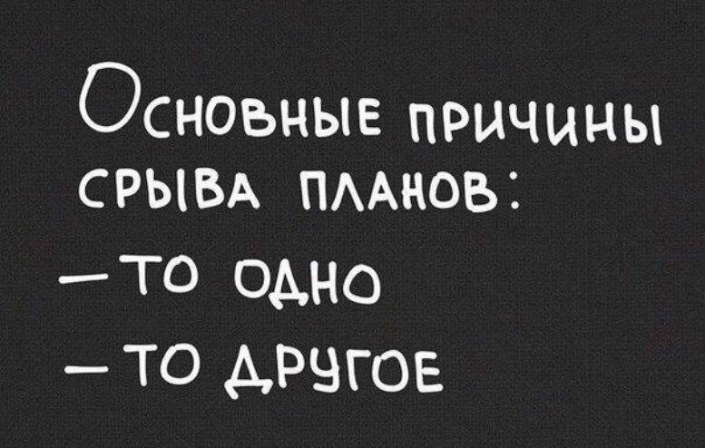 Смешные картинки план на день