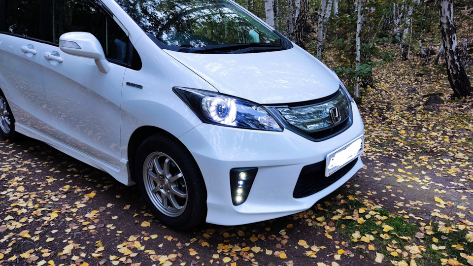 Дхо хонда фрид