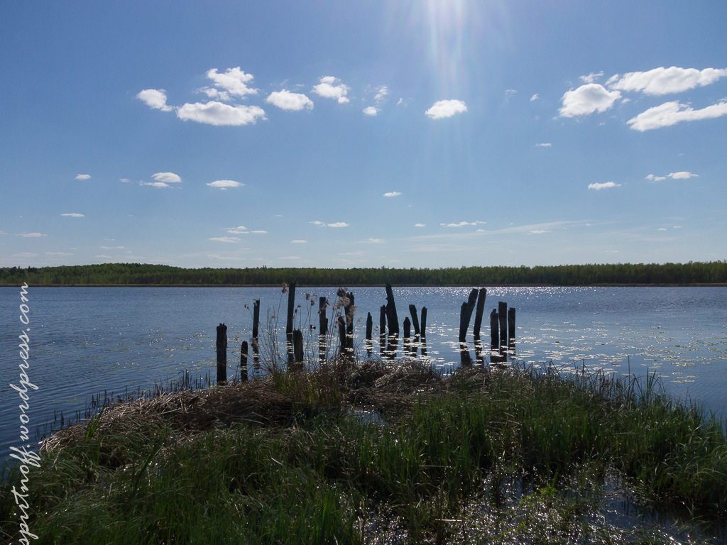 Вепрева пустынь