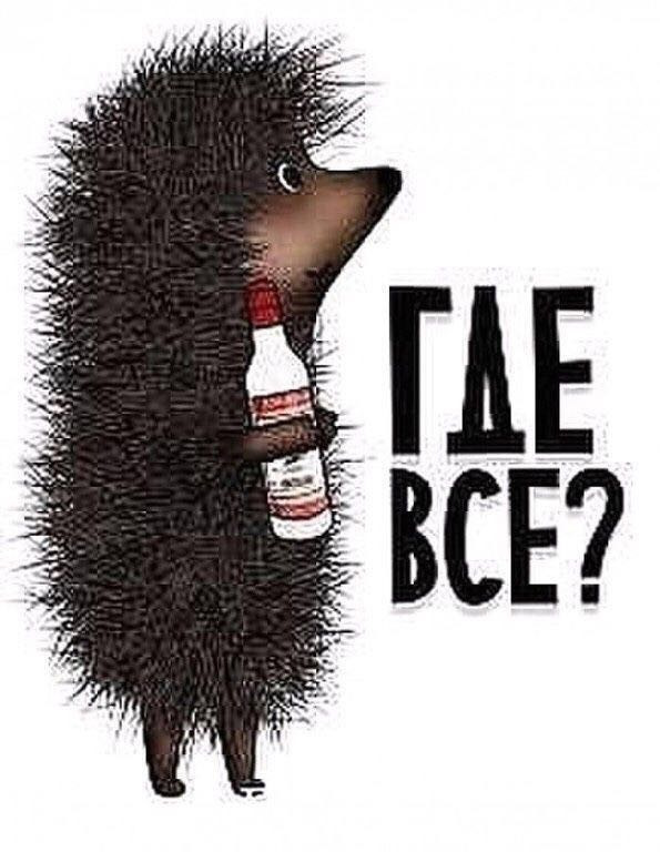 Открытки вербное, картинка с надписью вы где