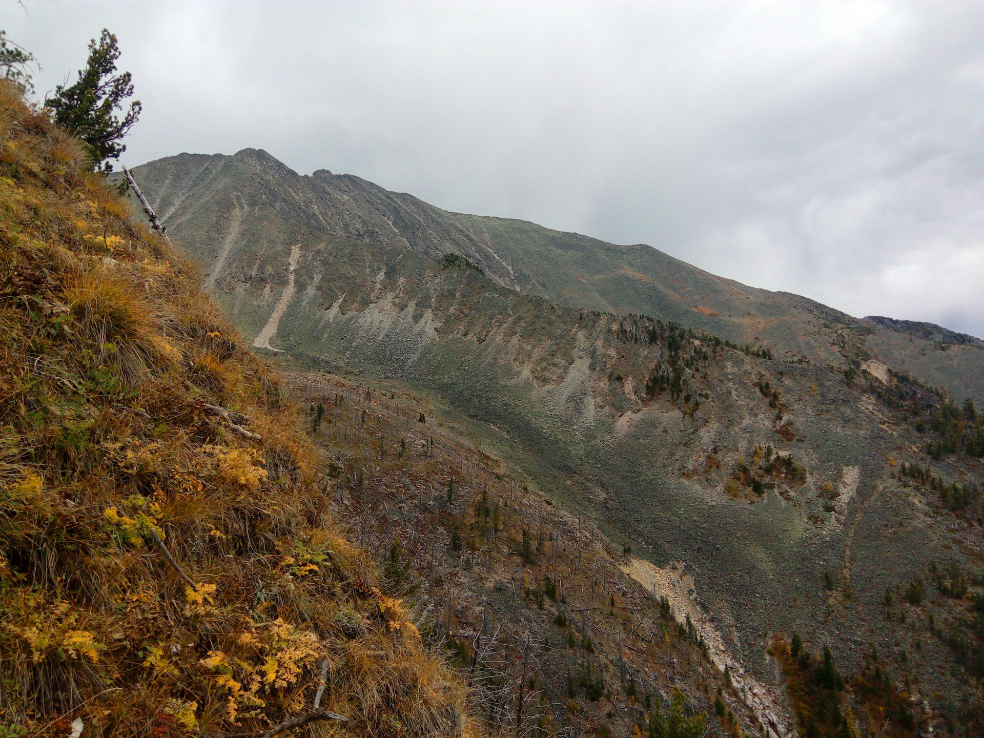 Пик любви аршан фото