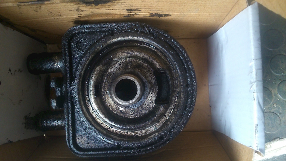 Масло в тосоле — FIAT Scudo I, 1,9 л., 1999 года | поломка | DRIVE2