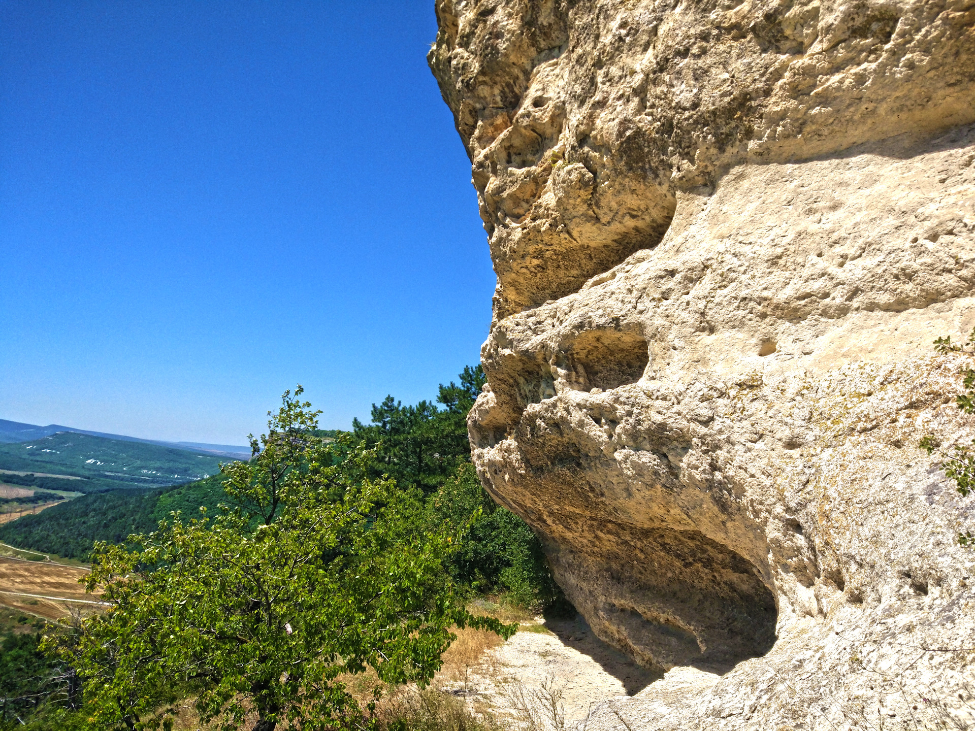 Таш джарган фото