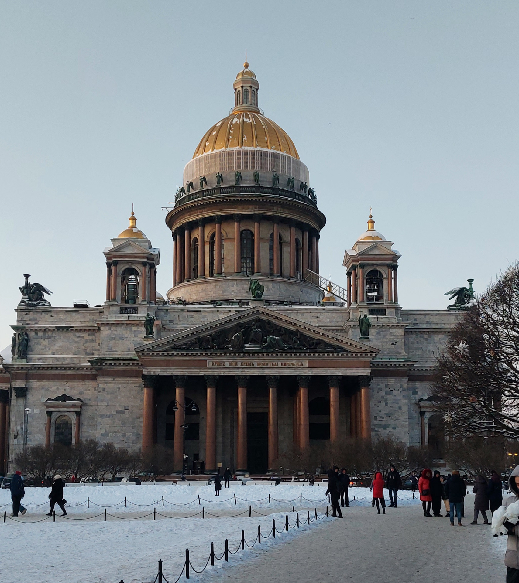 Купить В Санкт Петербурге