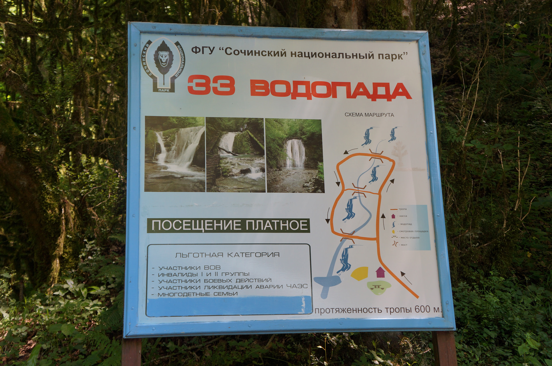 Сочинский национальный парк символ